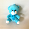 Αρκουδάκι γαλάζιο 21εκ +10,00€